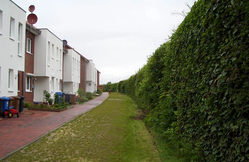 Wohnhaussiedlung in Weiß und Backsteinoptik erhält in unmittelbarer Nähe Lärmschutz durch vollbegrünte Umweltwand